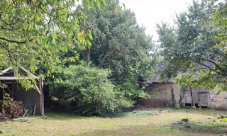 Photo N° 3