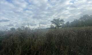 Terrain  137519 m² à vendre à La Châtre-Langlin (36170)