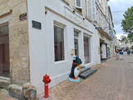 local commercial — photo 2
