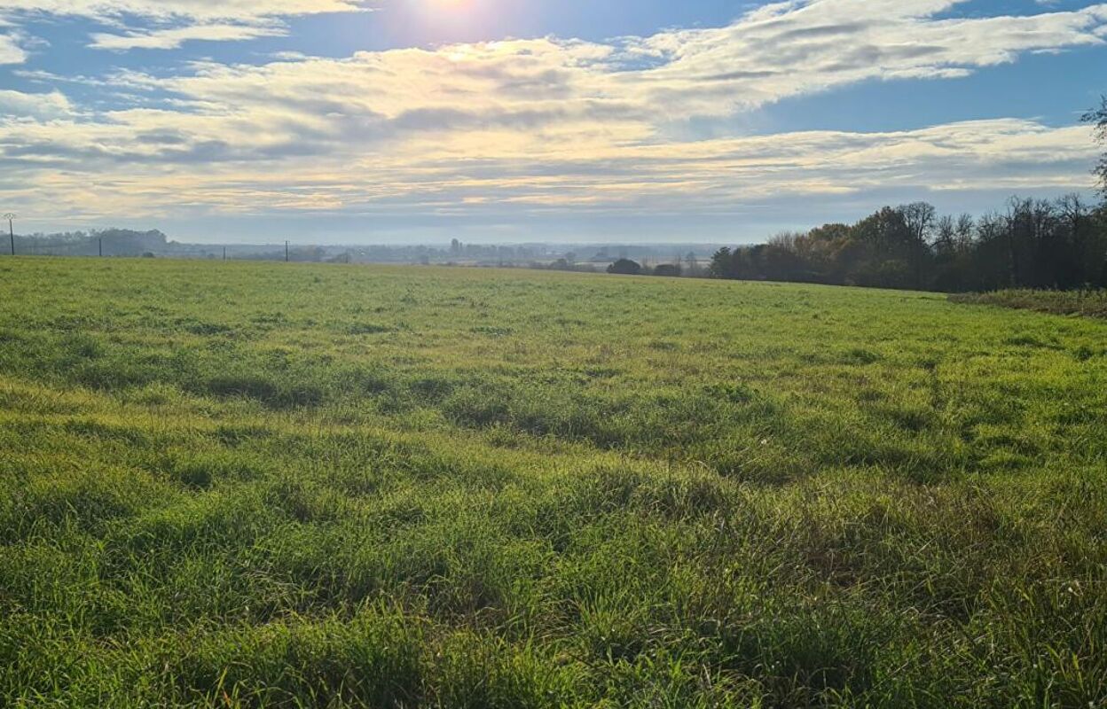 terrain  pièces 1060 m2 à vendre à Cadillac-en-Fronsadais (33240)