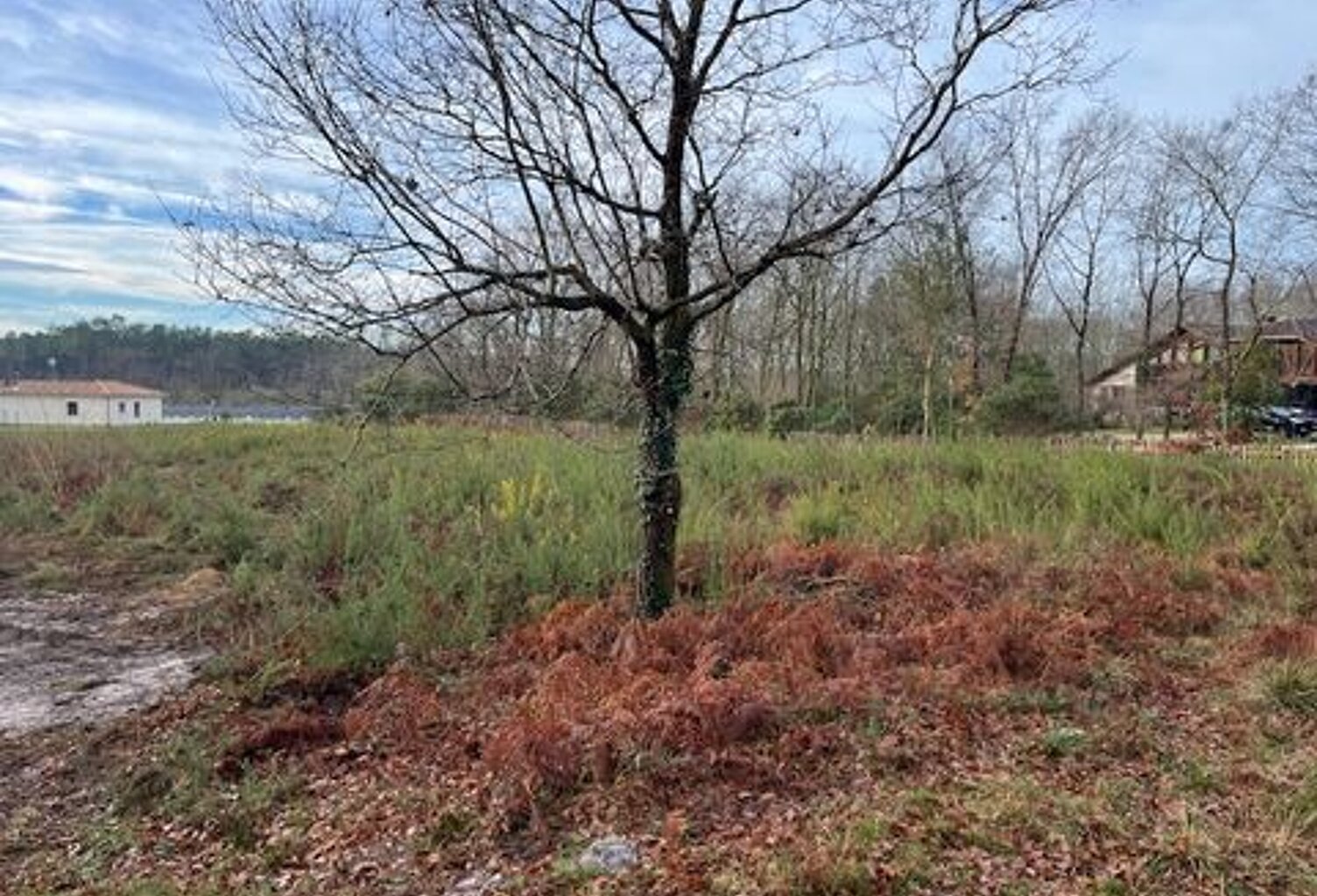 terrain constructible Gourbera — photo 1