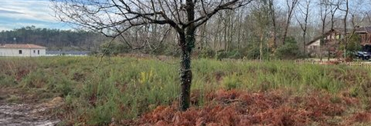 Terrain  3768 m² à vendre à Gourbera (40990)