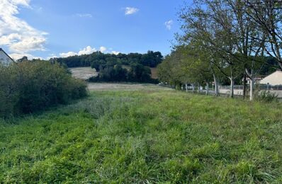 terrain  pièces 1200 m2 à vendre à Saint-Caprais-de-Lerm (47270)