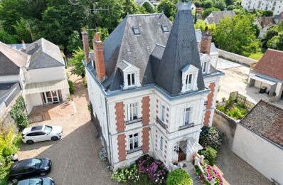 vente maison 3 350 000 € à proximité de Pocé-sur-Cisse (37530)