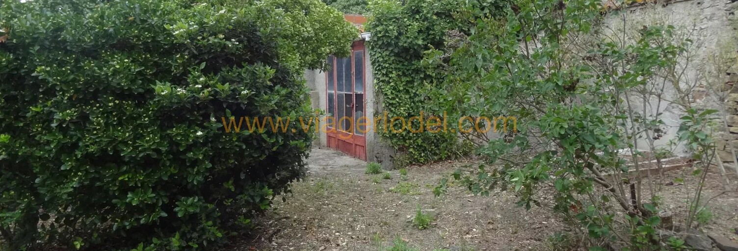 Immeuble 427 m² en viager Villalier (11600)