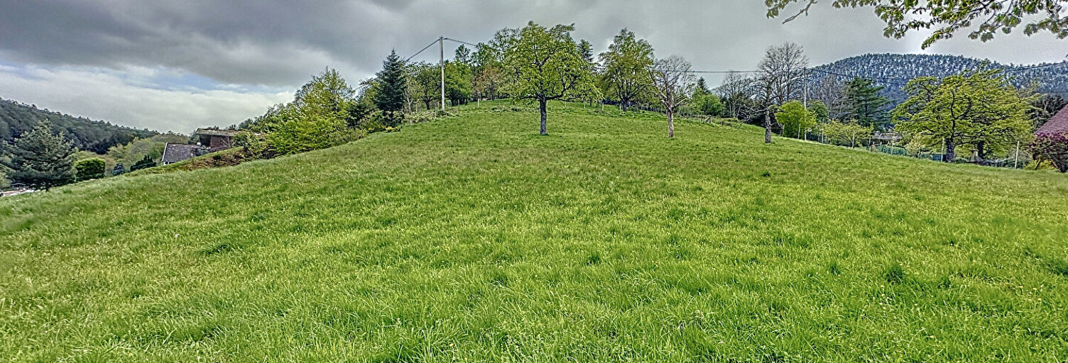 Terrain  1450 m² à vendre à Wangenbourg-Engenthal (67710)