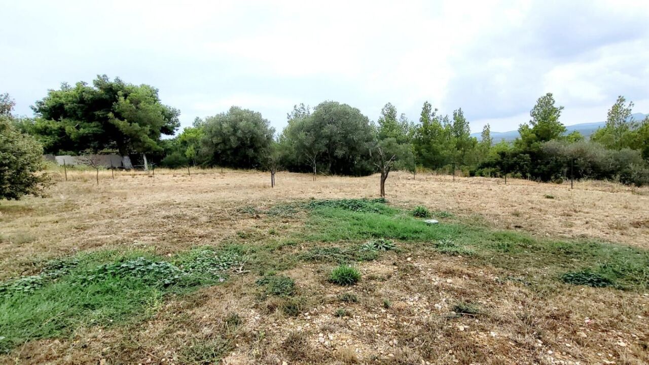 terrain  pièces 840 m2 à vendre à La Palme (11480)