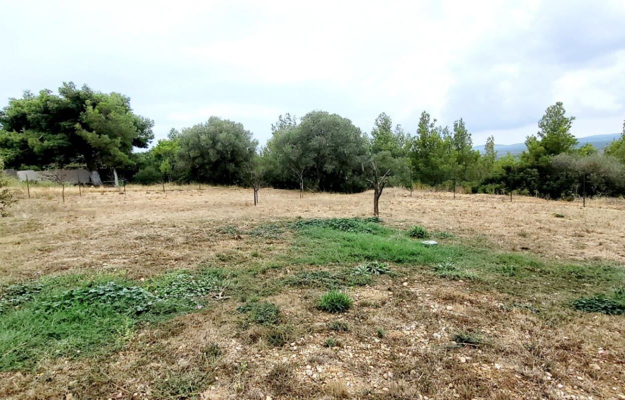 terrain  pièces 840 m2 à vendre à La Palme (11480)