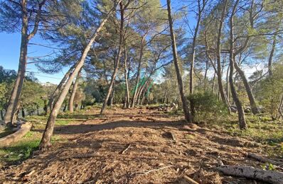 vente terrain 388 000 € à proximité de Antibes (06600)