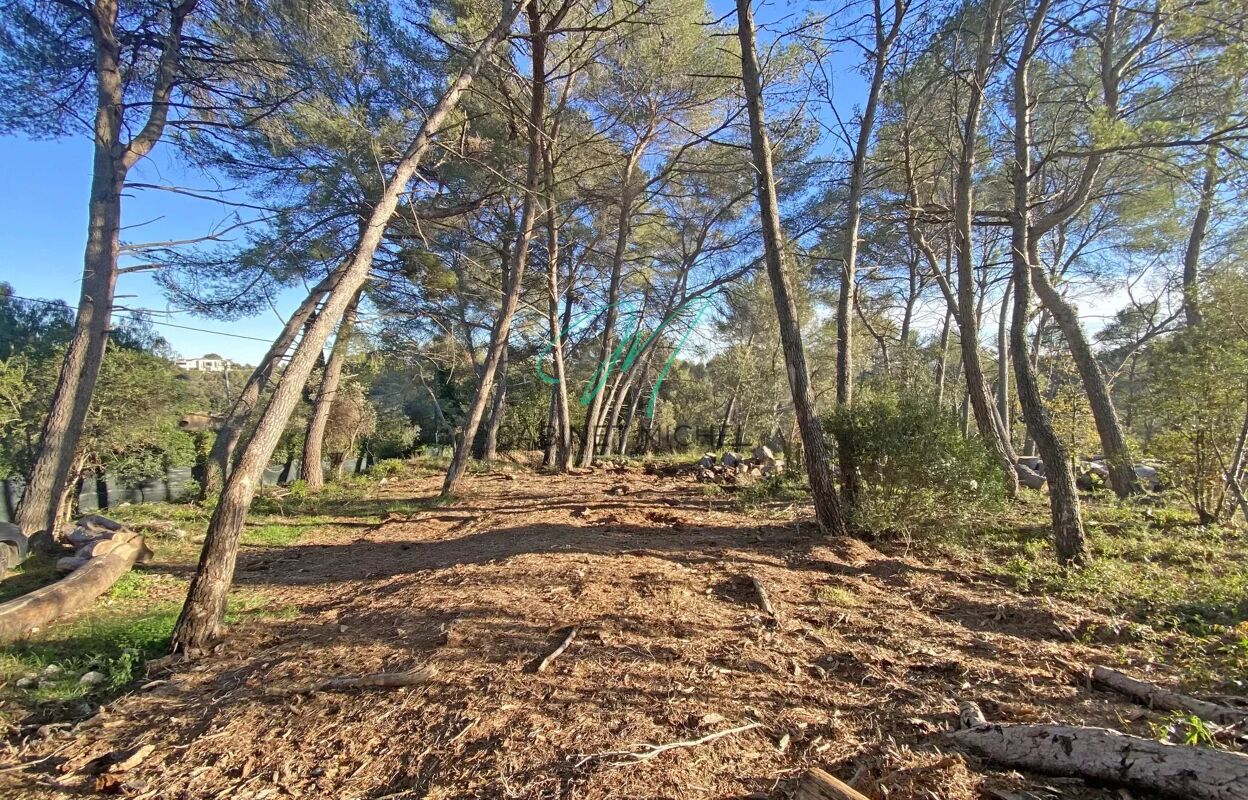 terrain  pièces 2500 m2 à vendre à Roquefort-les-Pins (06330)