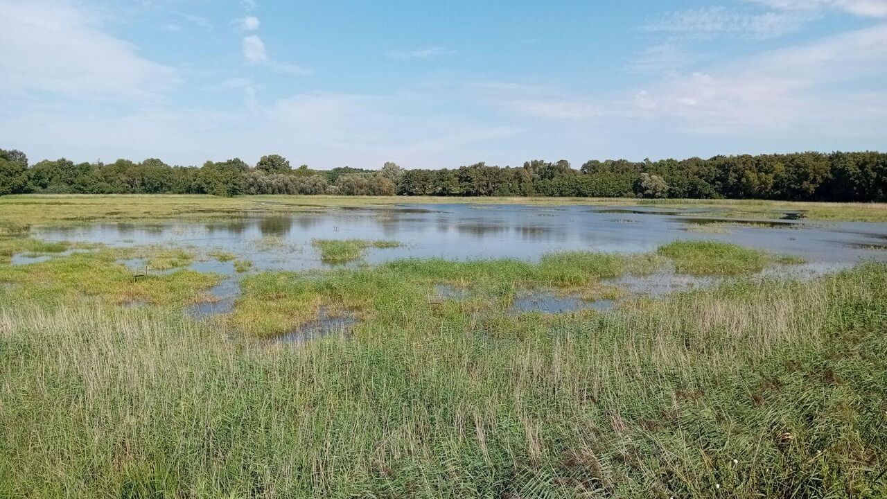 terrain  pièces 1330000 m2 à vendre à Saint-André-de-Corcy (01390)