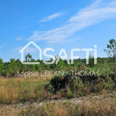 Terrain 117075 m²