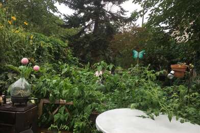 Immeuble  198000 €