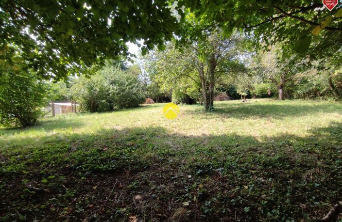PROJET NEUF ET TERRAIN ! — photo 2