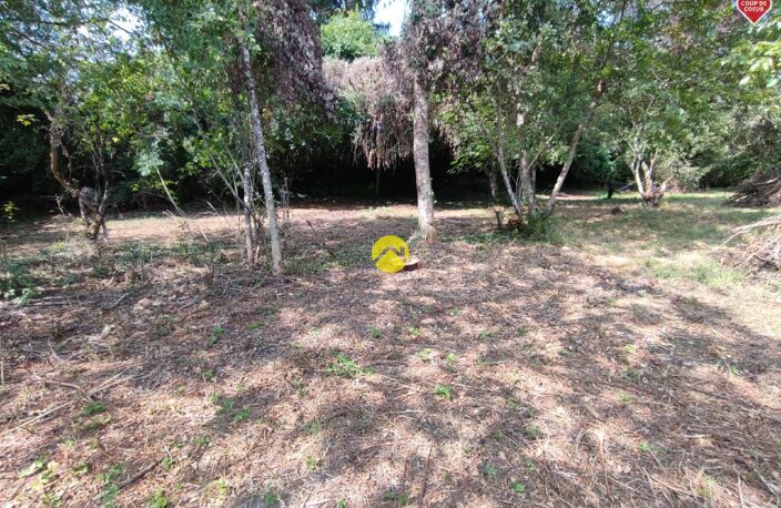 PROJET NEUF ET TERRAIN ! — photo 5