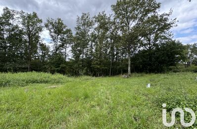 vente terrain 29 500 € à proximité de Montbouy (45230)