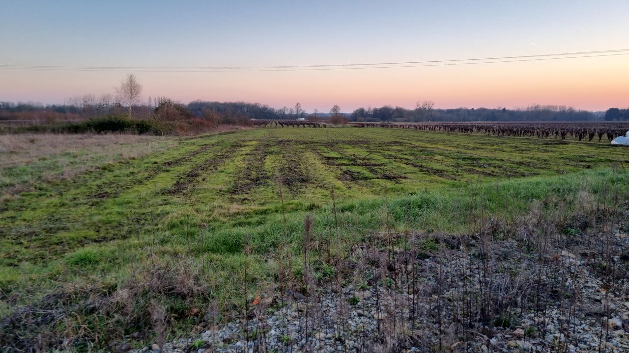 terrain  pièces 275 m2 à vendre à Mouzillon (44330)