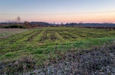 terrain 275 m2 à construire à Mouzillon (44330)