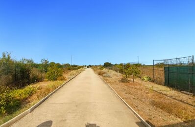 terrain  pièces 2153 m2 à vendre à Marseillan (34340)