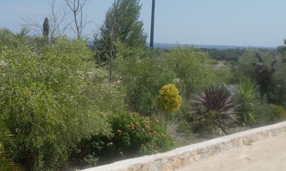 Photo N° 8