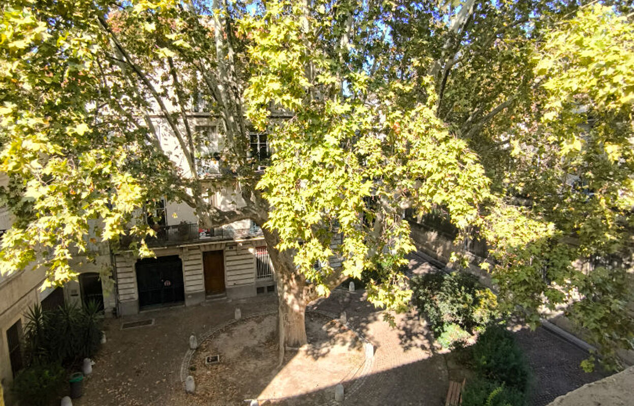 appartement 2 pièces 61 m2 à louer à Avignon (84000)