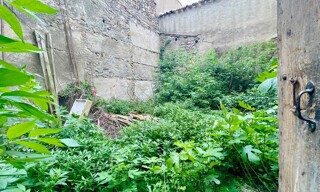 Photo N° 4