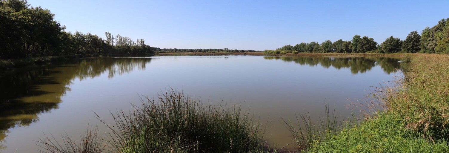 Terrain  217590 m² à vendre à Rosnay (36300)