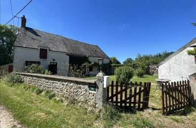 vente maison 29 999 € à proximité de Mareuil-sur-Arnon (18290)