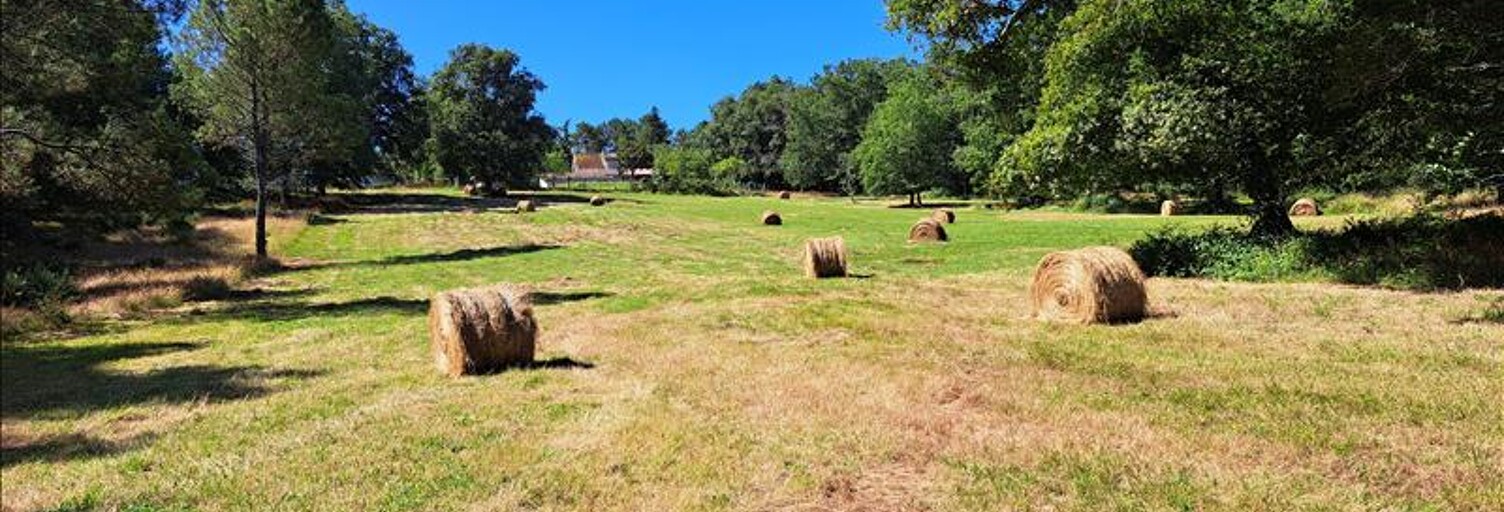 Maison 7 Pièces 180 m² à vendre à Minzac (24610)