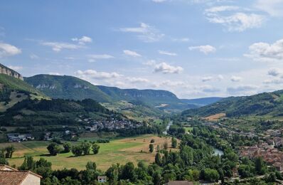 vente maison 245 000 € à proximité de Sévérac-d'Aveyron (12150)