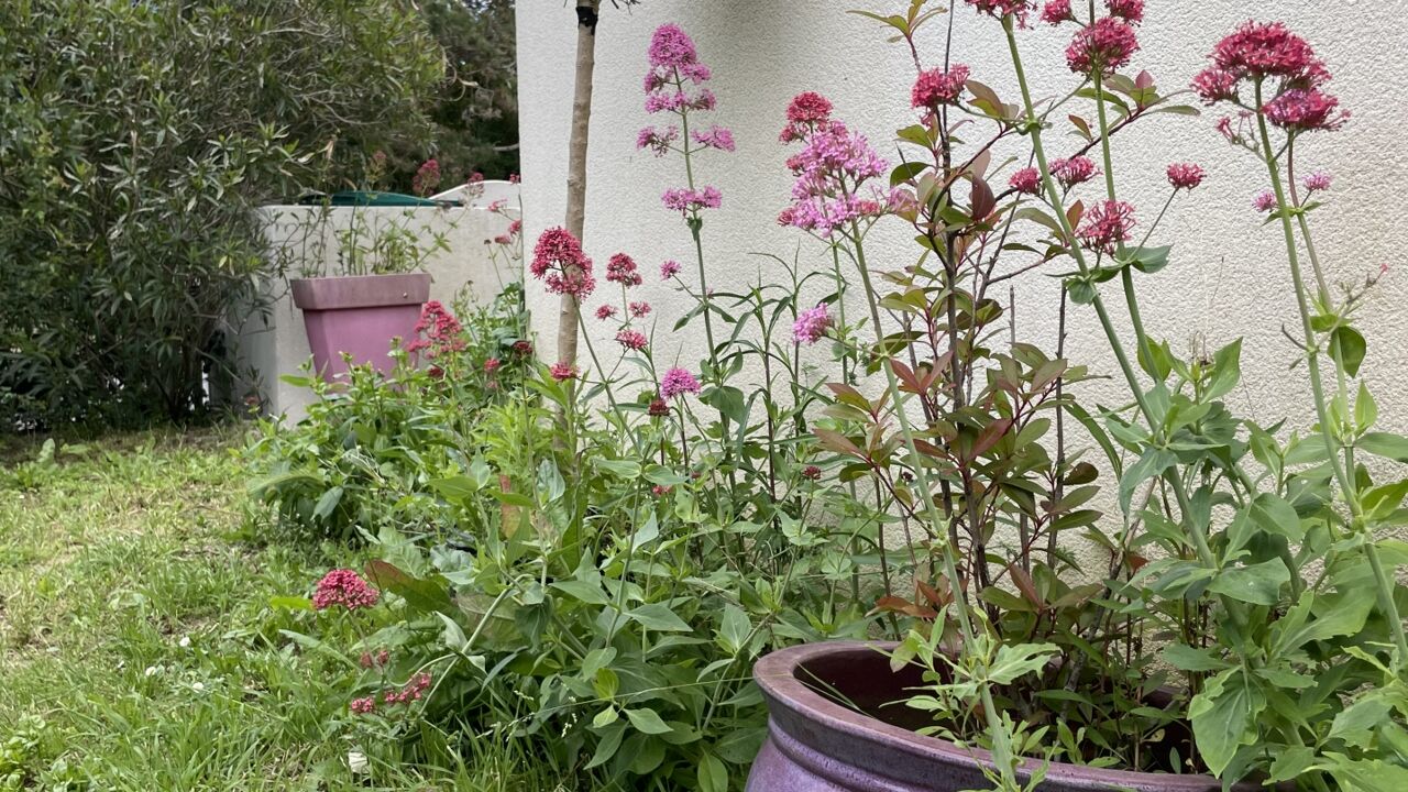 maison 4 pièces 80 m2 à vendre à L'Houmeau (17137)