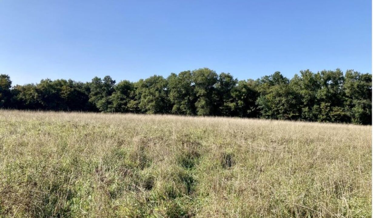 terrain  pièces 440 m2 à vendre à Créon (33670)