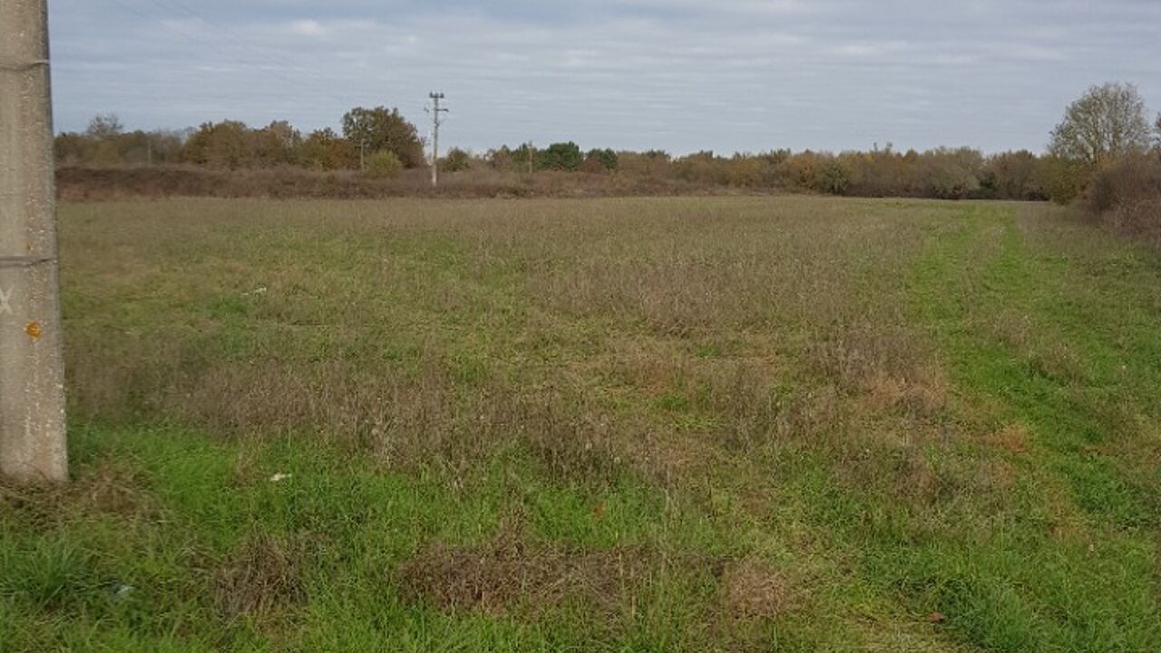 terrain  pièces 300 m2 à vendre à Libourne (33500)