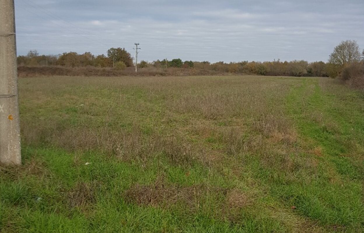 terrain  pièces 300 m2 à vendre à Libourne (33500)