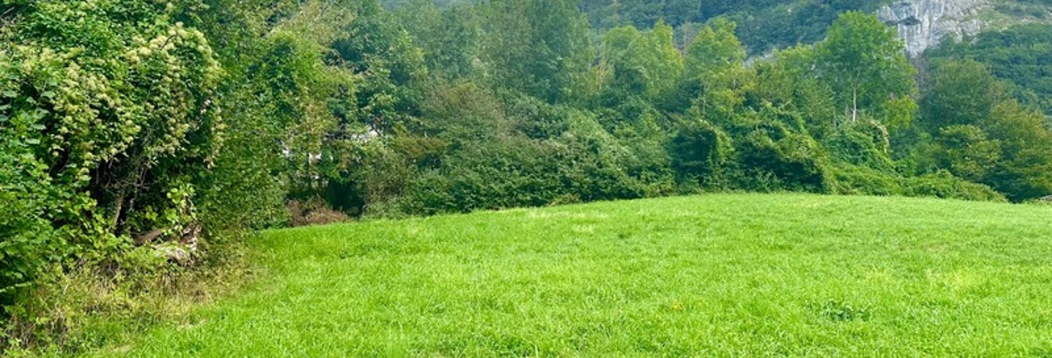 Terrain  3119 m² à vendre à Magland (74300)