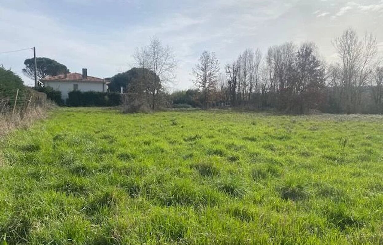 terrain  pièces 1200 m2 à vendre à Montauban (82000)