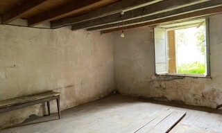 Photo N° 4