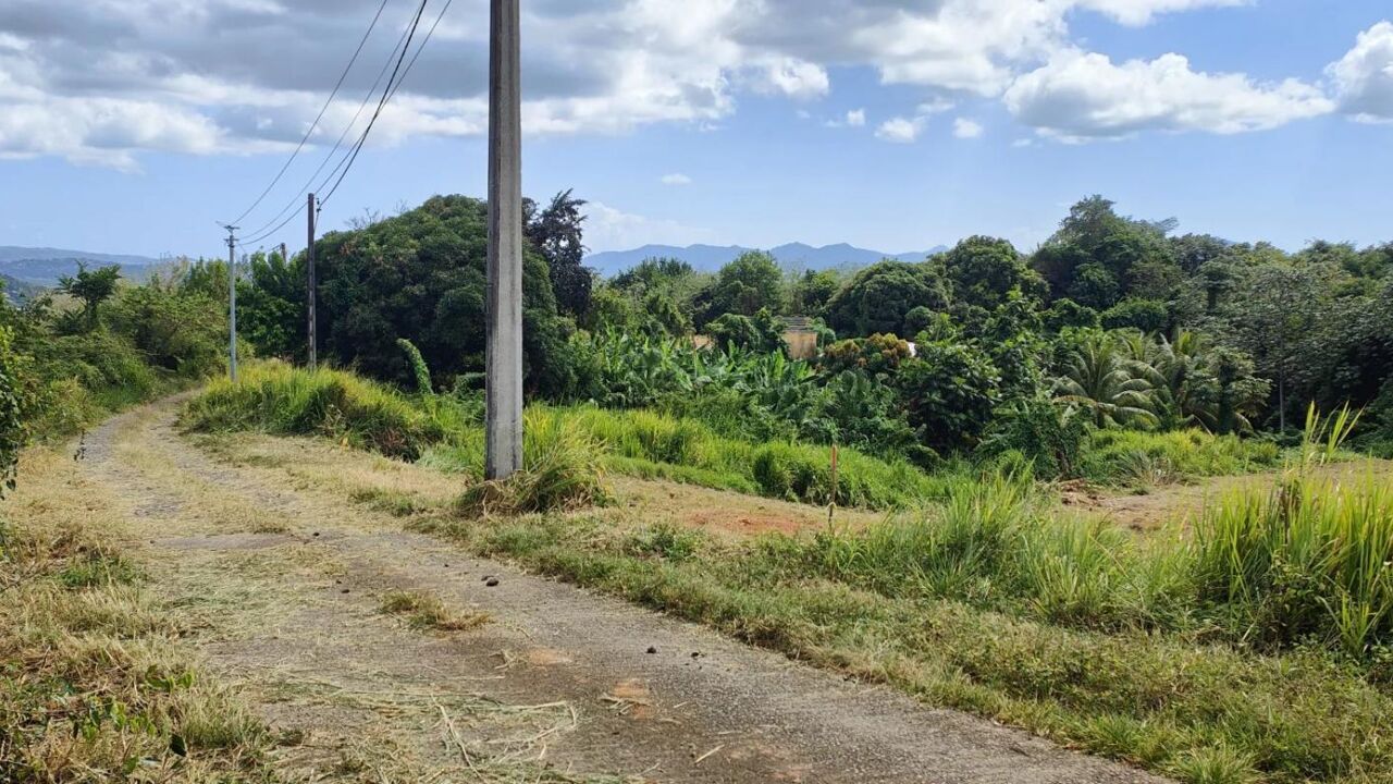 terrain  pièces 700 m2 à vendre à Le Lamentin (97232)