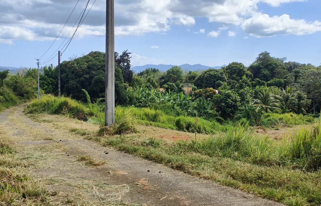 terrain  pièces 700 m2 à vendre à Le Lamentin (97232)