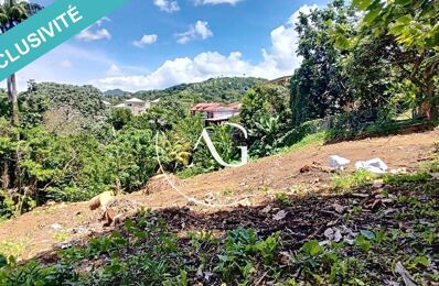 vente terrain 79 000 € à proximité de Le Morne-Rouge (97260)