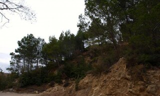 Photo N° 4