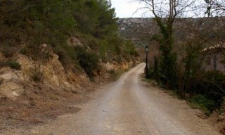 Photo N° 5