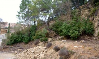 Photo N° 6