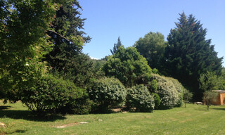 Photo N° 5