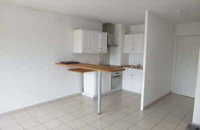 location appartement 575 € CC /mois à proximité de Uzein (64230)