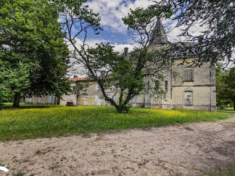 Château de 30 pièces principales — photo 1