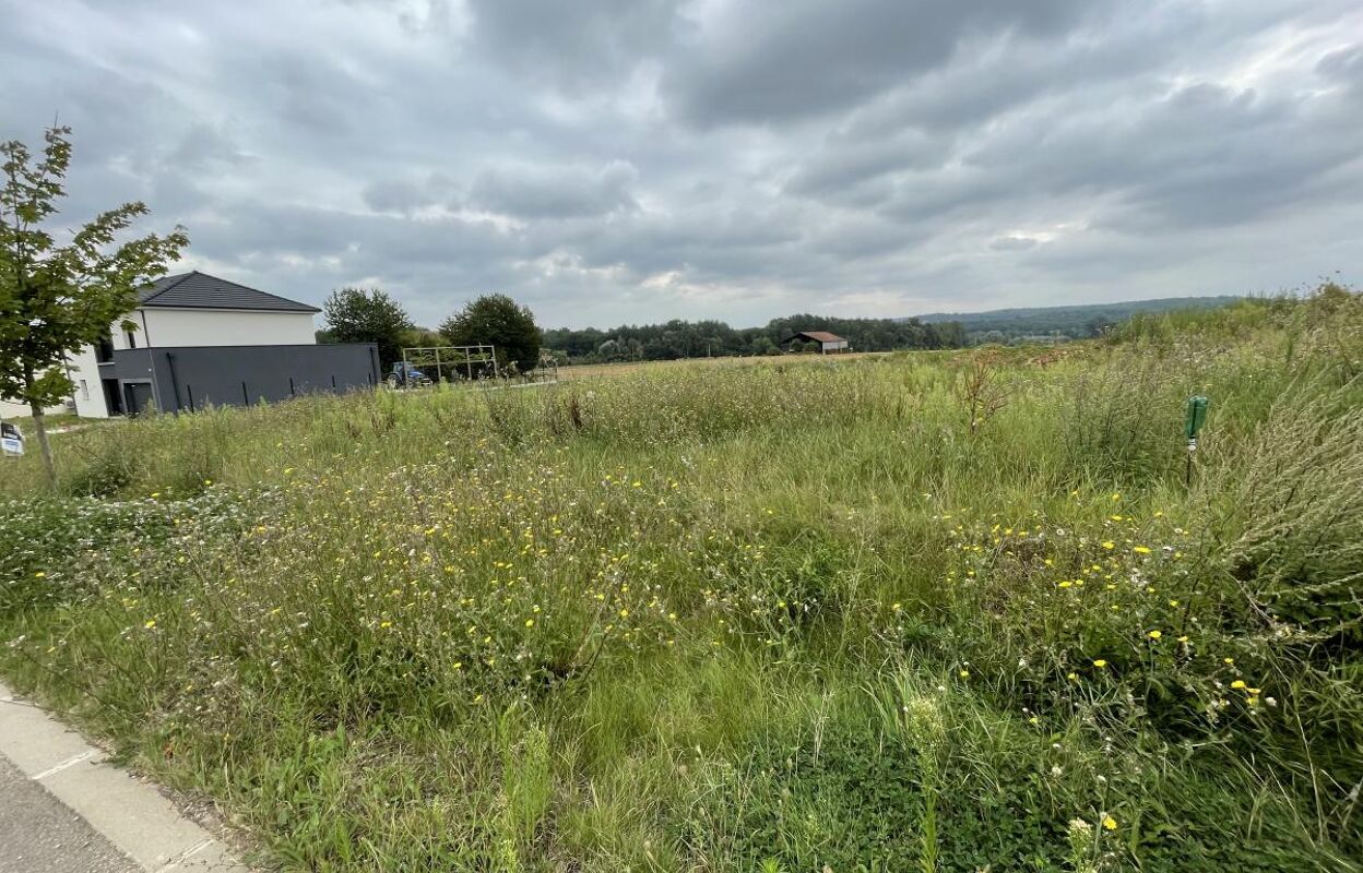 terrain  pièces 959 m2 à vendre à Montigny-sur-Vesle (51140)