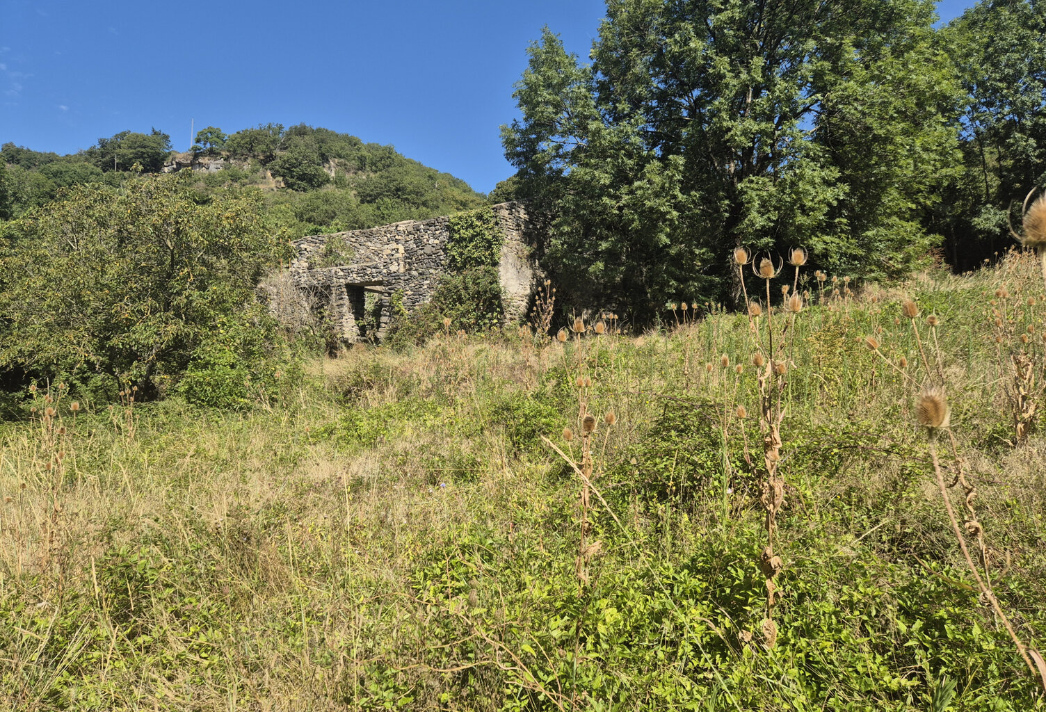 CORPS DE FERME à restaurer — photo 1