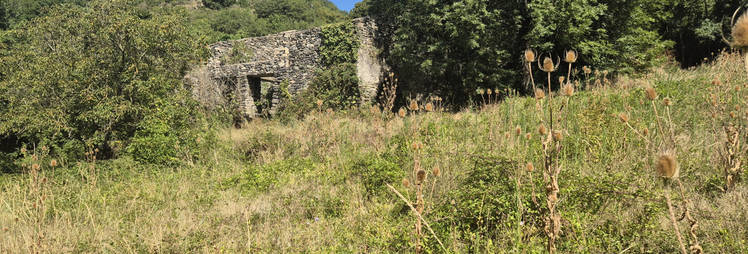 Maison 4 Pièces 159 m² à vendre à Lunas-les-Châteaux (34650)