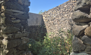 Photo N° 5